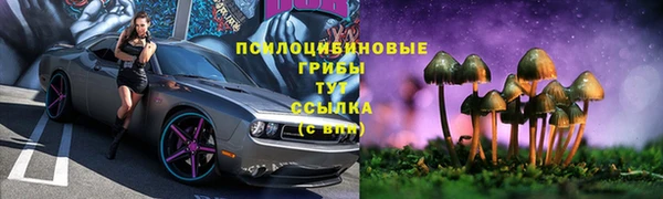 твердый Белоозёрский